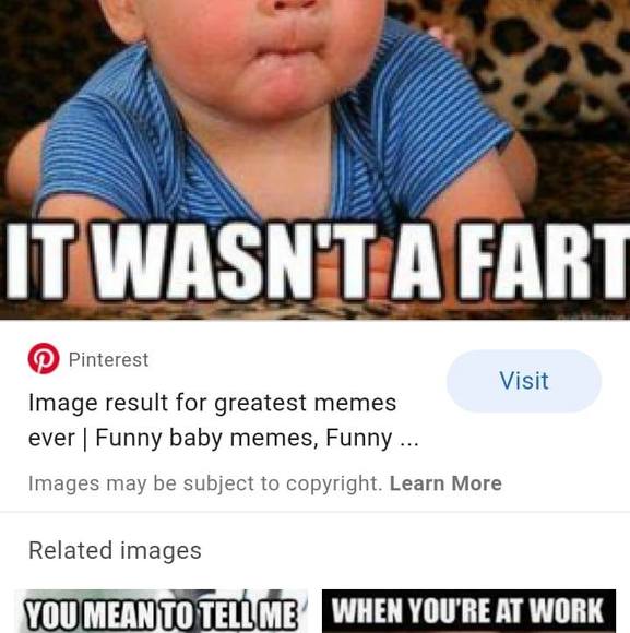 Meet your Posher, Nolan - Picture 1 of 1